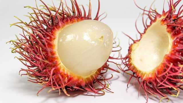 El RAMBUTÁN Beneficios y Propiedades