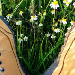 CALZADOS PANTER DE CARA A ESTA PRÓXIMA PRIMAVERA