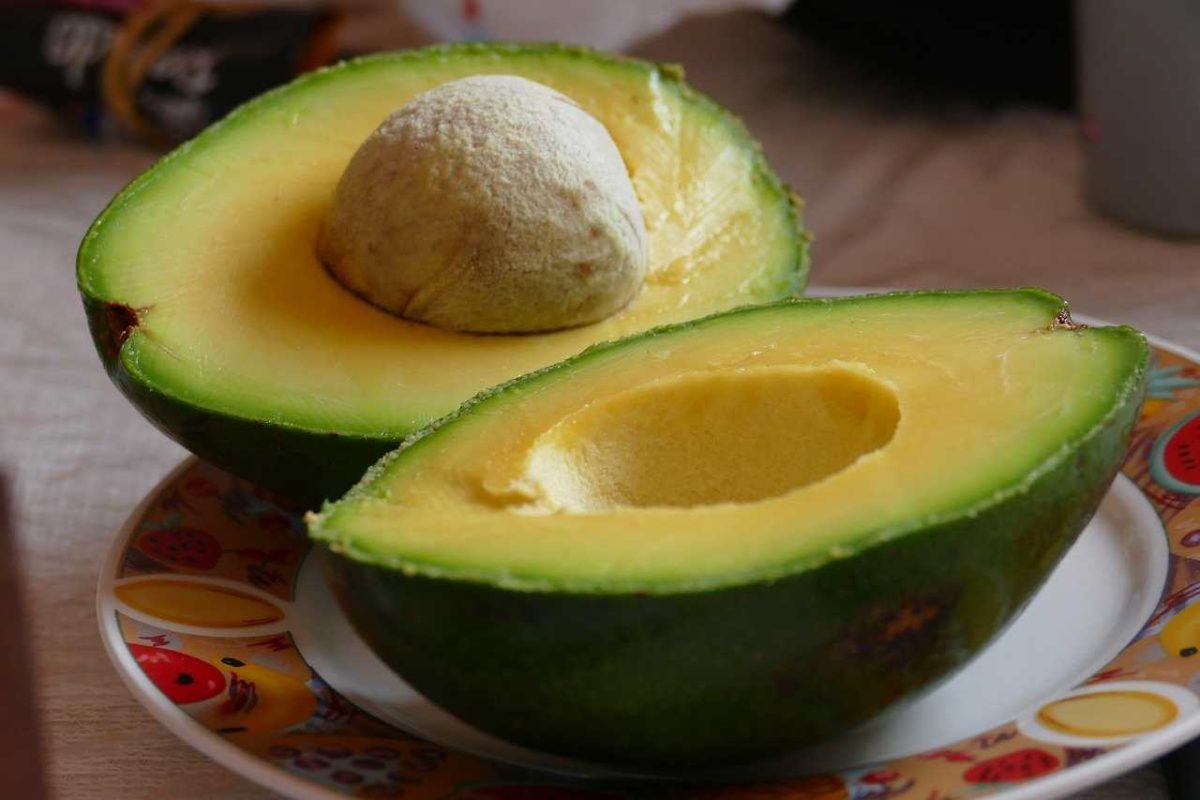 Beneficios del aguacate
