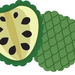 La Chirimoya, sus beneficios y propiedades.