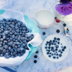 ¿Cómo hacer una dieta probiótica?