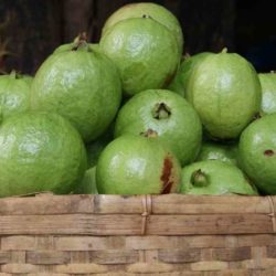 Propiedades y Beneficios de la GUAYABA
