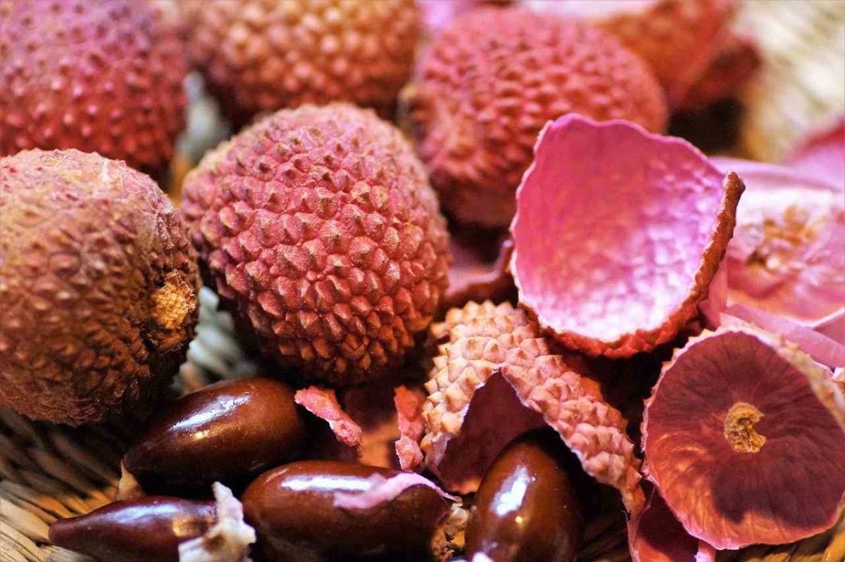Propiedades del Litchi