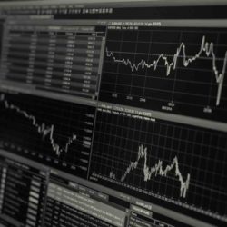 ¿Qué es el comportamiento racional en la economía?