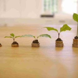 Inversiones Seguras y Líquidas para su Fondo de Emergencia