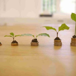 Inversiones Seguras y Líquidas para su Fondo de Emergencia