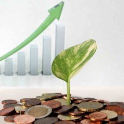 Ratios Financieros Clave Para Empresas Farmacéuticas