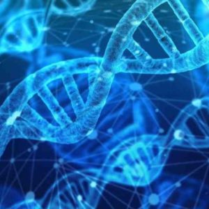 ¿QUE ES EL ADN? Comprensión e Historia