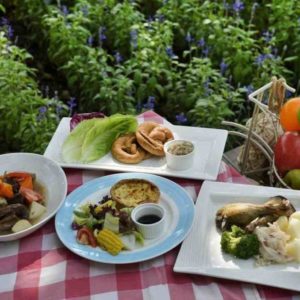 Alimentos Nutritivos Para Potenciar el Sistema Inmunológico