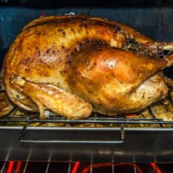 Los Mejores Alimentos de Acción de Gracias