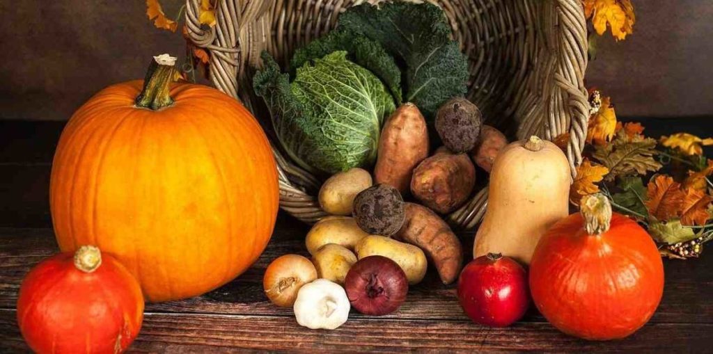 Consejos de Nutrición