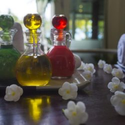 Los Mejores Ingredientes Naturales Para tu Piel