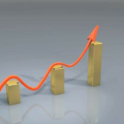 ¿Cómo Afecta el PIB al Nivel de Vida?