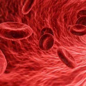 Las Mejores Formas Naturales Para Apoyar su Sistema Inmunológico