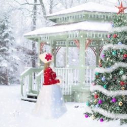 ¿Dónde Nace la Costumbre de los Árboles de Navidad?