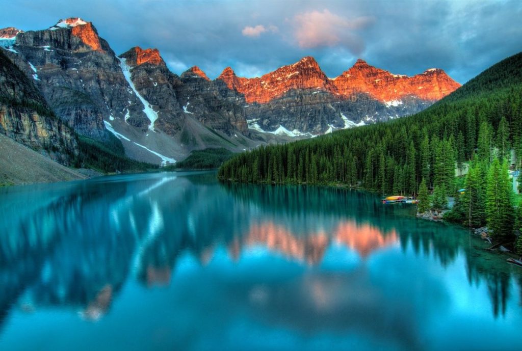 Poder Curativo de la Naturaleza