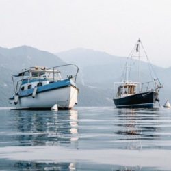 Barcos de Pesca Multiusos. Razones Para Comprar Uno