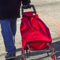 Los mejores Carritos de Compras del Mercado. Guía de Compras