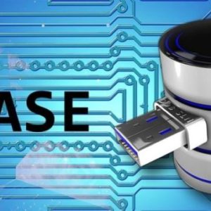Explicación y Definición de la Base de Datos