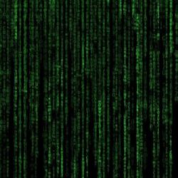 Computadoras Cuánticas y Criptomonedas. Lo Que Debes Saber