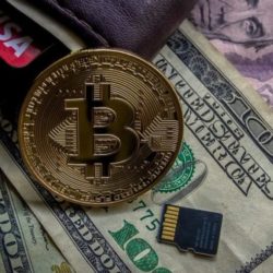 Una Guía Para Principiantes Para Obtener Ingresos Pasivos con Criptos