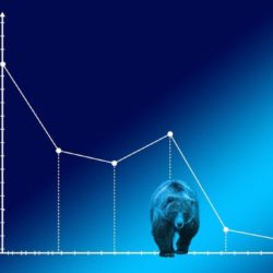 ¿Qué es un Mercado Bajista (Bear Market)?