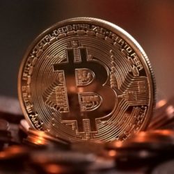 Tu Guía Para Burger Swap. Lo Que Debes Saber