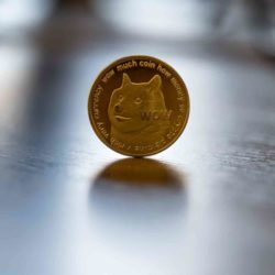 ¿Qué es Dogecoin? ¿Qué futuro tiene?