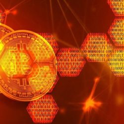 ¿Qué es un Efecto de Red? Todo lo Que Debes Saber