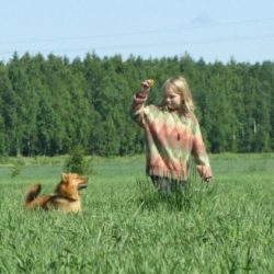 Los Mejores Perros Para Niños y Familias