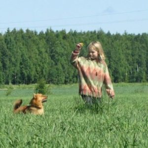 Los Mejores Perros Para Niños y Familias