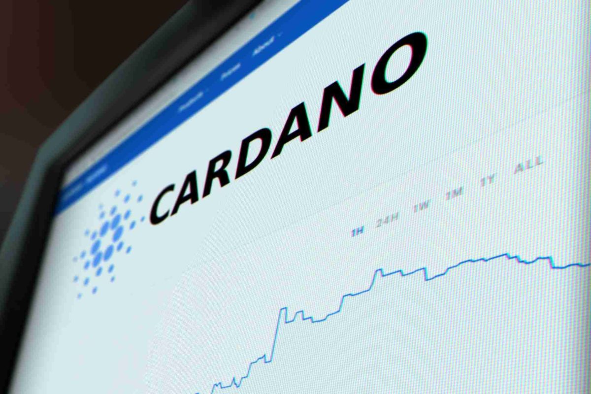 cardano