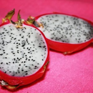 El cultivo de la Pitahaya