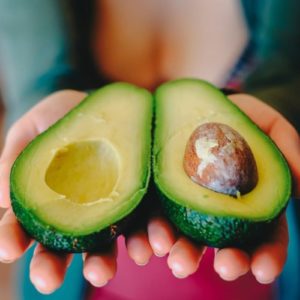 EL CULTIVO DEL AGUACATE