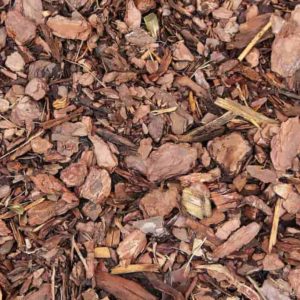 Tipos de sustratos de cultivo. Guía detallada