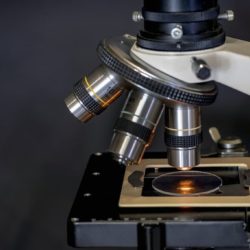 Los mejores microscopios para estudiantes, niños y profesionales