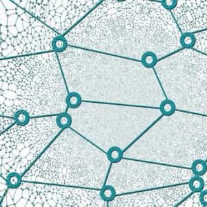 ¿Qué es la SKALE Network?