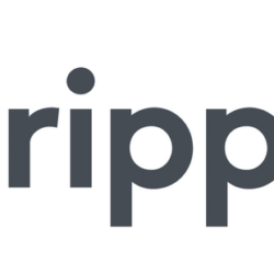 Qué es Ripple. (XRP) Todo lo que necesitas saber.