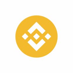 Cómo retirar tokens BEP-20 en Binance Smart Chain