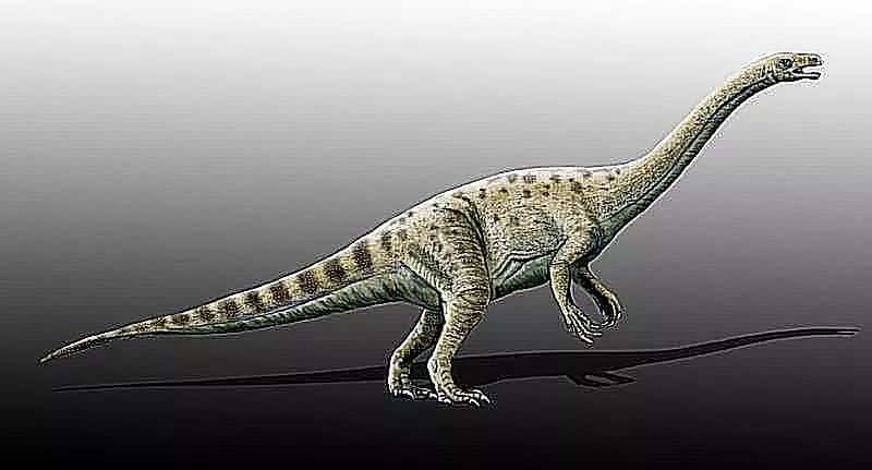Adeopapposaurus