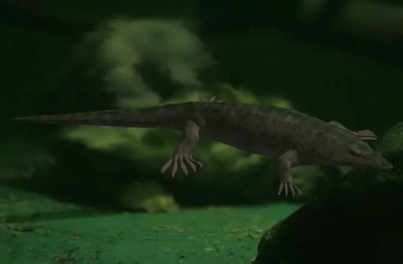 Archegosaurio