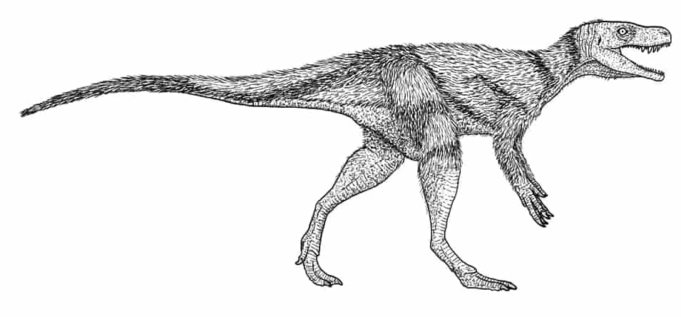 Chindesaurus