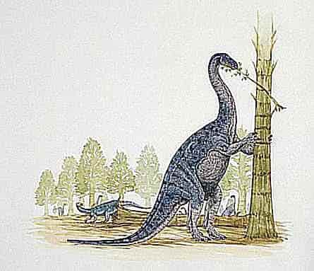 Euskelosaurus