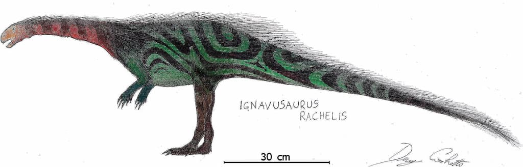 Ignavusaurus