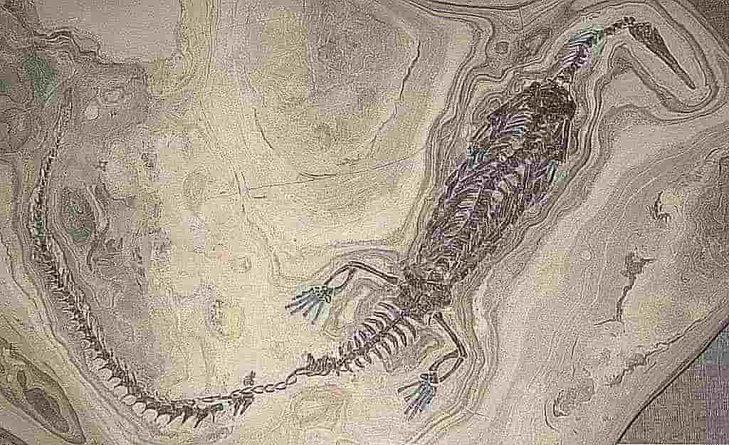 Mesosaurio