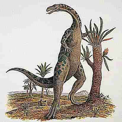 Yunnanosaurus