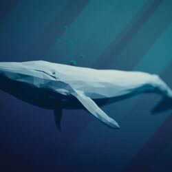Imágenes y perfiles de ballenas prehistóricas