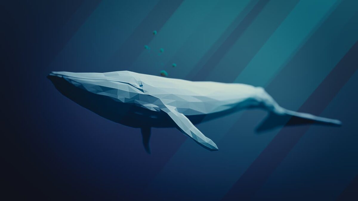 ballenas prehistoricas