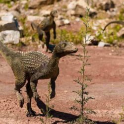 Los dinosaurios y animales prehistóricos de Arizona
