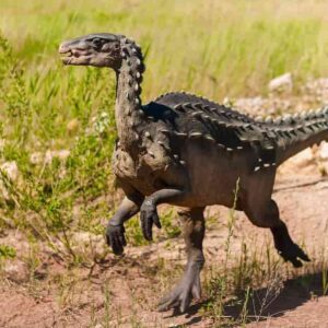 Descripción general de dinosaurios y animales prehistóricos de Texas